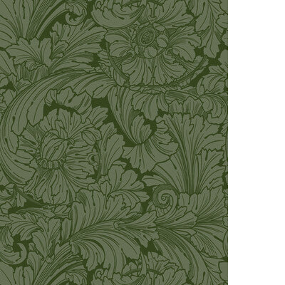 COLE & SON ACANTHUS 127/6031.CS.0 in FOREST Wallpaper - COLE