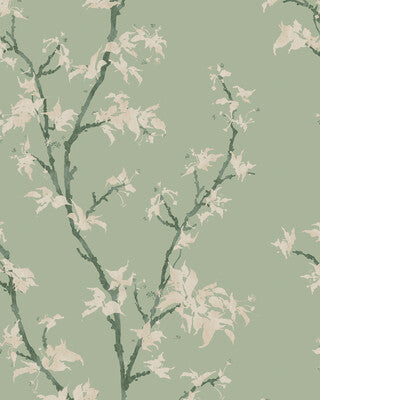 COLE & SON CHINESE BRANCH 128/3014.CS.0 in SAGE Wallpaper - 