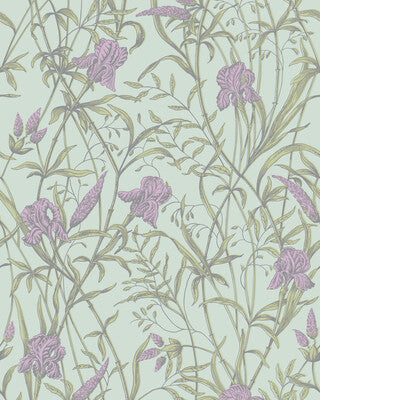 COLE & SON IRIS 128/5024.CS.0 in LAVENDER ON DUCK EGG Wallpa