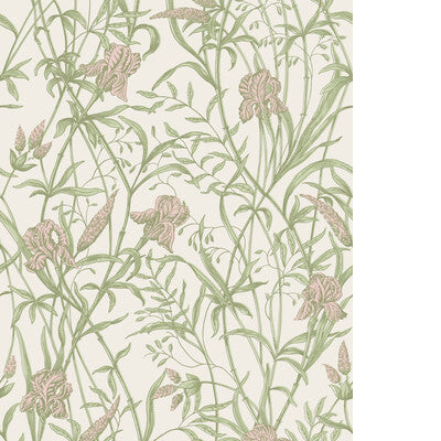 COLE & SON IRIS 128/5025.CS.0 in SOFT CORAL ON CHALK Wallpap