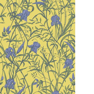 COLE & SON IRIS 128/5027.CS.0 in VIOLET ON CITRINE Wallpaper