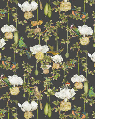 COLE & SON BAOBAB BOTANICA 129/2009.CS.0 in ONYX Wallpaper -