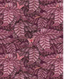 COLE & SON ACACIA CANOPY 129/4016.CS.0 in PLUM Wallpaper - C