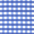 Schumacher 133B39 POLENG in DELFT Fabric - RAOUL TEXTILES