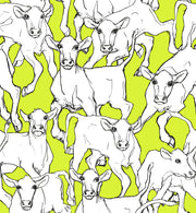 Marimekko 14105X Wallpaper - Eade's Wallpaper & Fabric