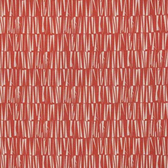 Eade's RMCoco-1347942-sample Coral