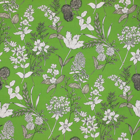 Eade's RMCoco-13543417-sample Fern