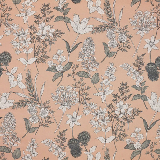 Eade's RMCoco-13543879-sample Blush