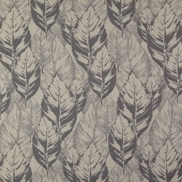 RM Coco Leaf Study Graphite - Eade's