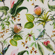 RM Coco Protea Garden Leaf - Eade's