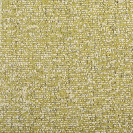 Eade's RMCoco-13661417-sample Fern