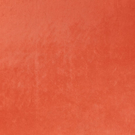 Eade's RMCoco-1336652-sample Cantaloupe