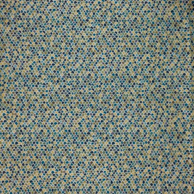RM Coco Nemo Peacock - Eade's
