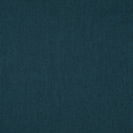 Eade's RMCoco-1321018-sample Beetle