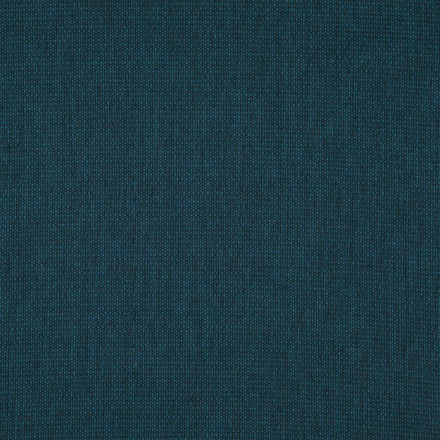 Eade's RMCoco-1321018-sample Beetle