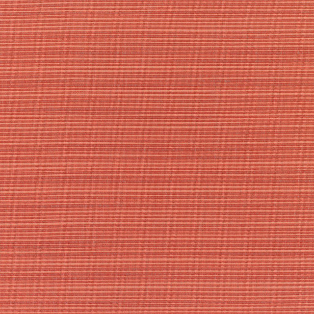 Eade's RMCoco-1322414-sample Papaya 8053-0000
