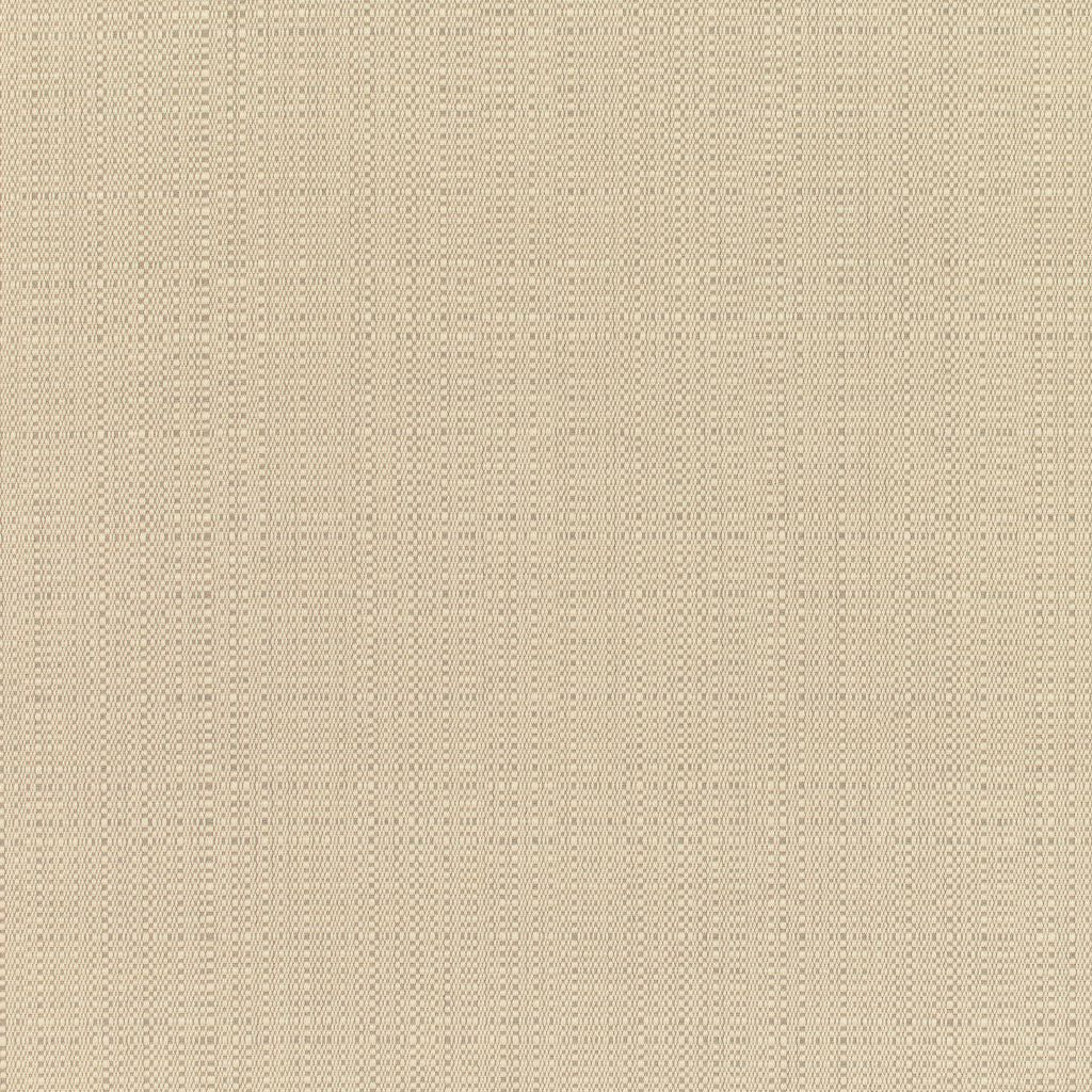 RM Coco Linen - Sunbrella® Champagne 8300-0000 - Eade's