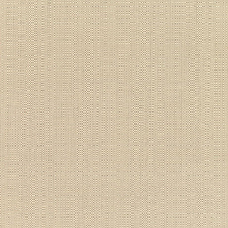 RM Coco Linen - Sunbrella® Champagne 8300-0000 - Eade's
