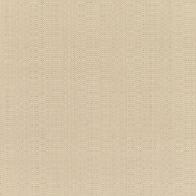 RM Coco Linen - Sunbrella® Champagne 8300-0000 - Eade's