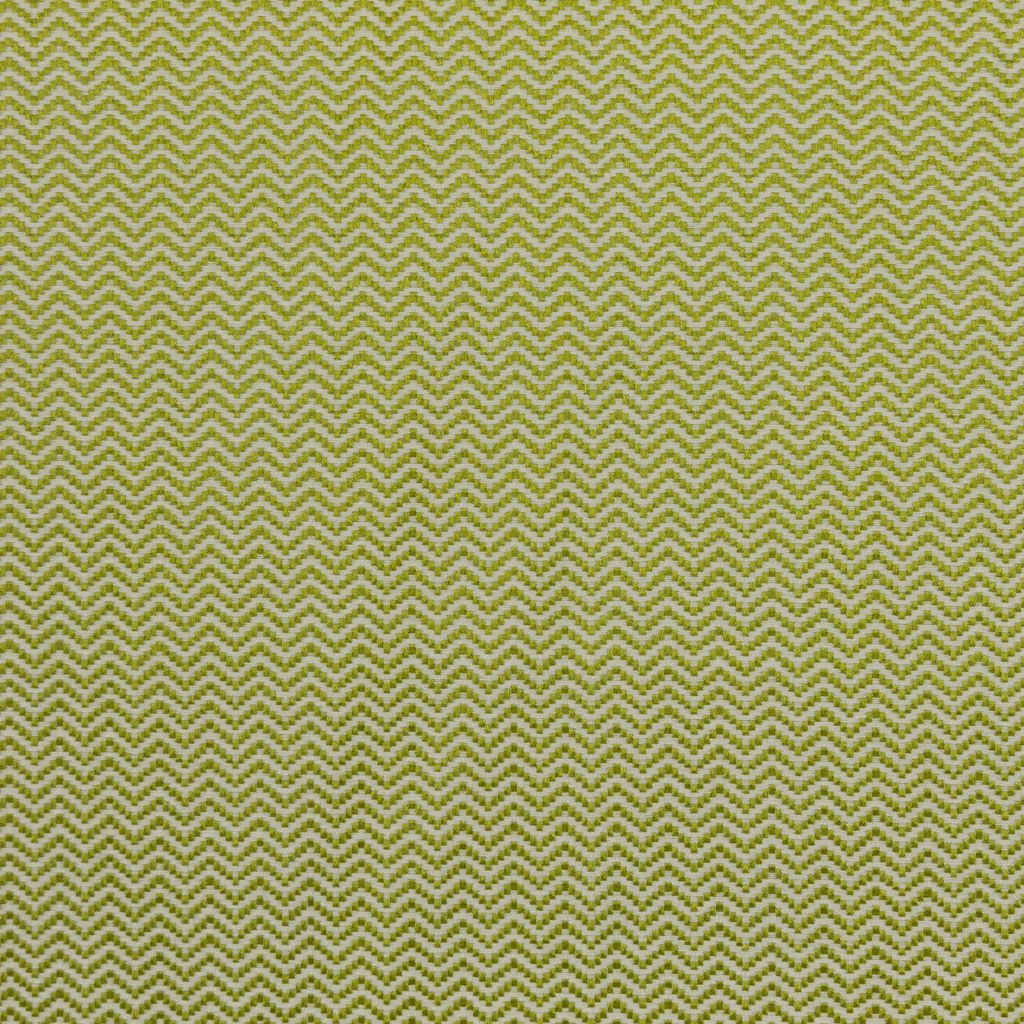 Eade's RMCoco-12921417-sample Fern