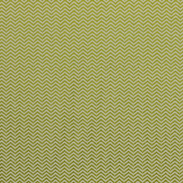 Eade's RMCoco-12921417-sample Fern