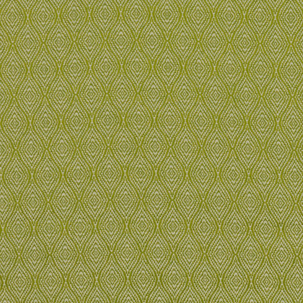 Eade's RMCoco-12922417-sample Fern