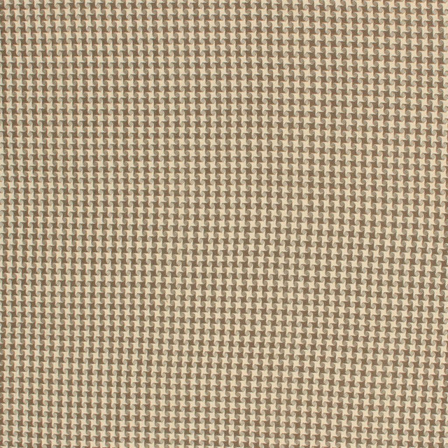 Eade's RMCoco-12899131-sample Mushroom