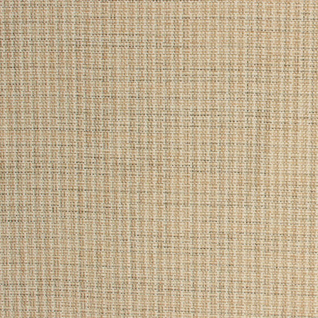 Eade's RMCoco-1284913-sample Oyster