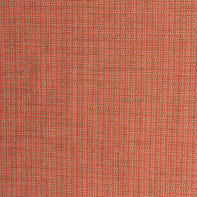 Eade's RMCoco-12849497-sample Petal