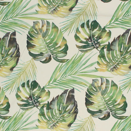 Eade's RMCoco-13019413-sample Avocado