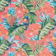 RM Coco Parrot Clay Happiness - Eade's