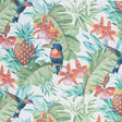 RM Coco Parrot Clay Hope - Eade's