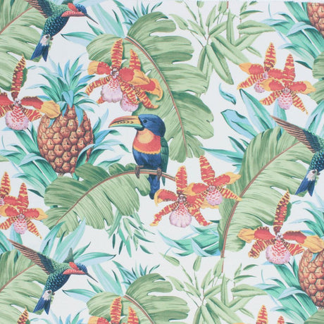 RM Coco Parrot Clay Hope - Eade's