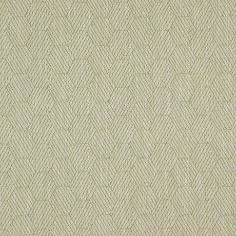 Eade's RMCoco-1318724-sample Fern