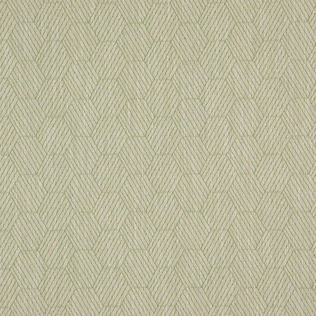 Eade's RMCoco-1318724-sample Fern