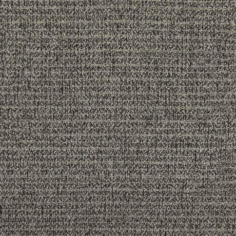 Eade's RMCoco-1367852-sample Thunder