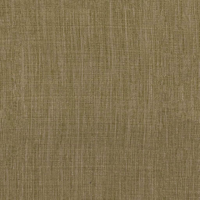 Eade's RMCoco-13679410-sample Spanish Moss