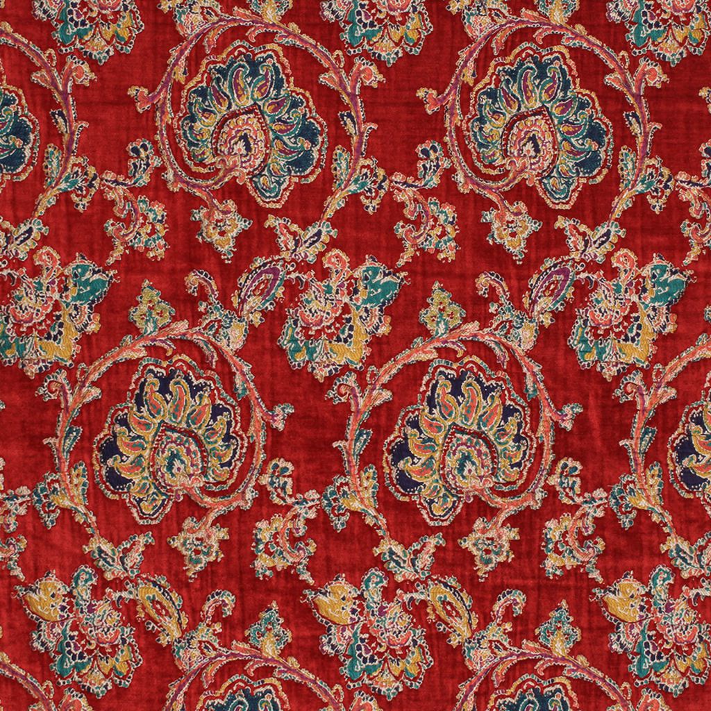 RM Coco Chanteclaire Ruby - Eade's