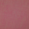 Eade's RMCoco-1319724-sample Camelia