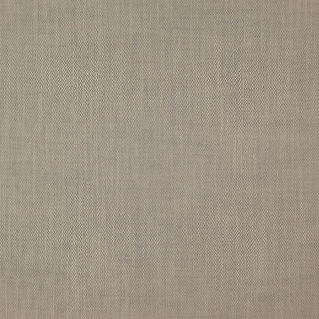 Eade's RMCoco-1319709-sample Oyster
