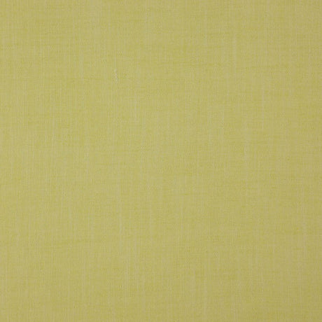 Eade's RMCoco-1319727-sample Palm