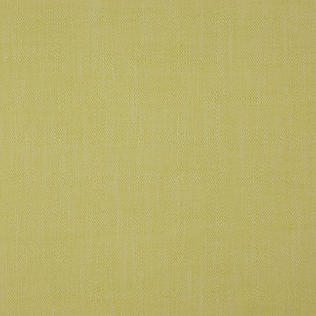 Eade's RMCoco-1319727-sample Palm