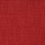 Eade's RMCoco-1317703-sample Sea Coral