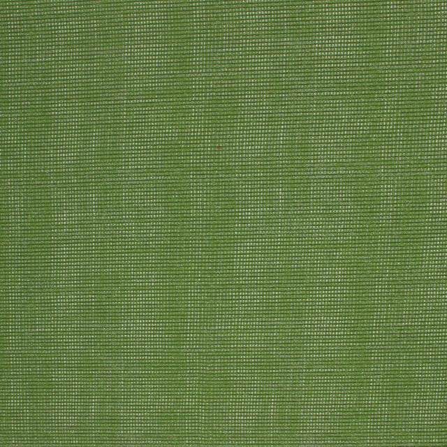 Eade's RMCoco-PR00844402-sample Citrus