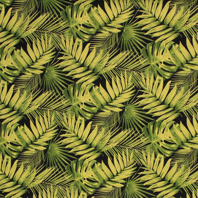 Eade's RMCoco-1317569-sample Ebony