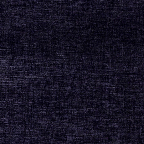 Eade's RMCoco-1317816-sample African Violet