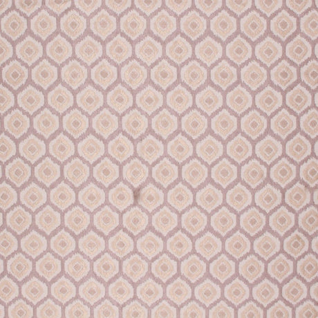 Eade's RMCoco-12773140-sample NUTRIA