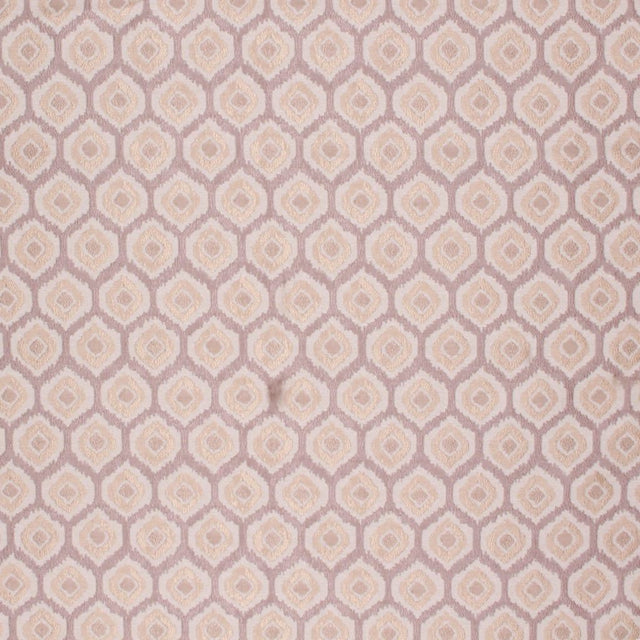 Eade's RMCoco-12773140-sample NUTRIA