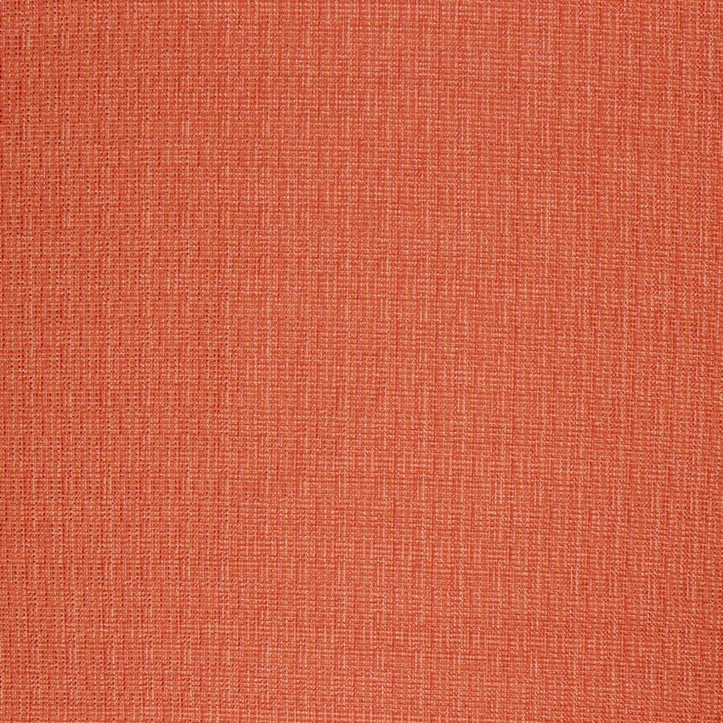 Eade's RMCoco-1273639-sample MANDARIN