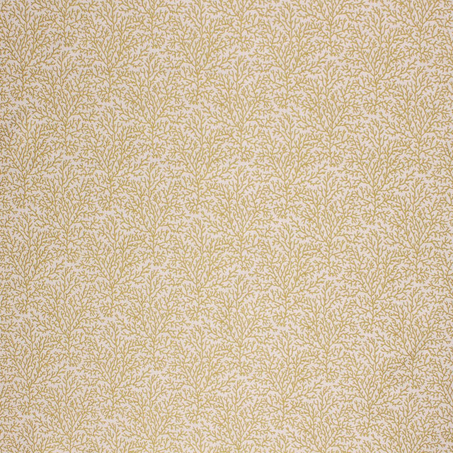 Eade's RMCoco-1277943-sample LIME